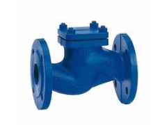 德国罗博特RBT进口止回阀图1