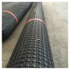 马鞍山 圈地篱笆养殖围网塑料土工格栅 3公分网孔塑料网