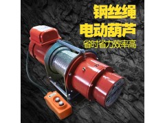 台湾DUKE钢索卷扬机300kg220V提升机DU-205图1