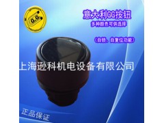 GG手电门配件按钮开关 GG手电门自锁自复位按钮图1