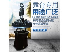 台湾DUKE舞台环链电动葫芦500kg220VDH500图1