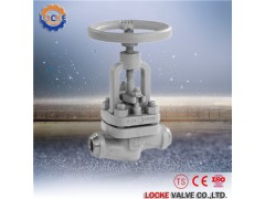 进口高温高压截止阀 进口阀门特点，参数，材质图1