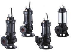 农村沼气池灌溉用污水泵_大口径潜水排污泵_节能不堵塞图1