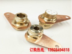 矿物质电缆头 矿物质电缆终端头工厂图1