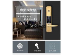 成都供应鼎朔指纹智能密码锁DSF-809家用锁图1