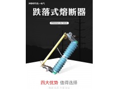 高压跌落式熔断器[PRWG2-40.5/100]参数图1