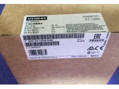 西门子6ES7214-1HG40-0xB0紧凑型CPU图1