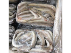 进口冻鱼报关代理 广东海产品进口报关代理公司图1