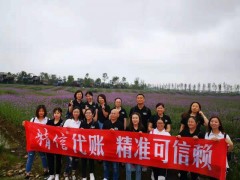 精信代账 代理记账图1