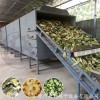 大型食品烘干设备 多层带式蔬果干燥机 冬瓜皮烘干机定制加工