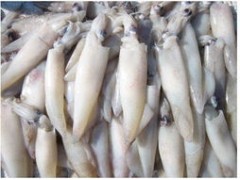 青岛冷冻海鲜进口清关图1