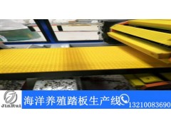 海洋养殖踏板生产线_塑胶鱼排防滑板设备图1