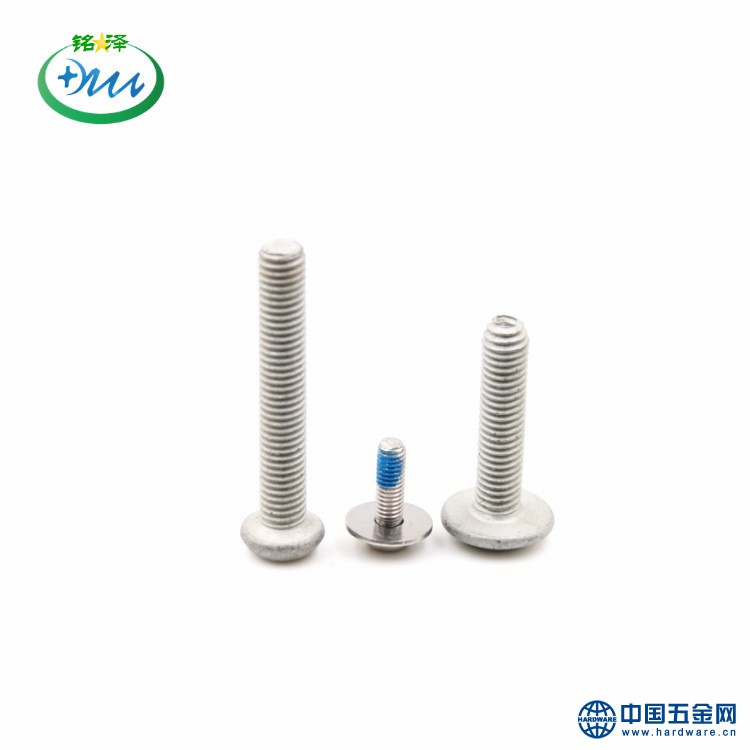 IMG_2881_副本_副本