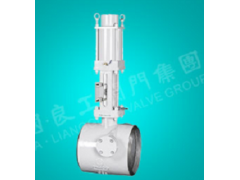 抽汽止回阀图1