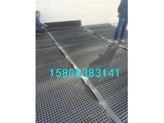 【推荐】车库排水板/大连排水板价格介绍图1