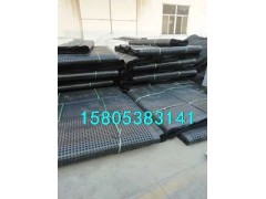 【推荐】车库排水板/大连排水板价格介绍图1