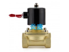 2W-400-40全铜直动常闭式电磁阀TS厂家图1