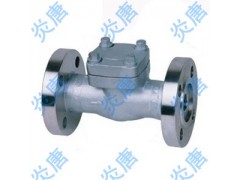 H41H H41W H44Y H44H 锻钢止回阀 TS厂家图1