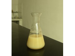 无味油漆用蓖麻油脂肪酸图1