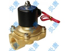 2A-40全铜水下专用电磁阀TS厂家图1