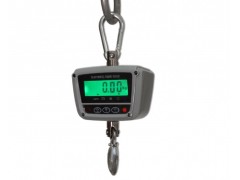 30-300公斤OCS防水电子秤图1