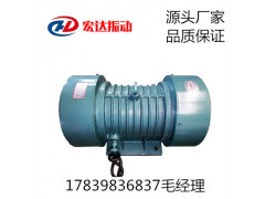邹平TZD振动电机品牌图1