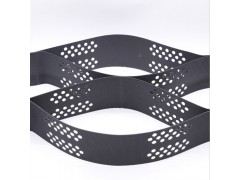 河北供应商 护坡绿化蜂巢土工格室 河道治理蜂巢约束系统厂家图1