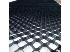 四川成都护坡绿化土工格室 边坡加固独立墙土工格室图1