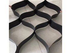园林绿化植草护坡绿化土工格室 高速护坡用蜂巢土工格室图1