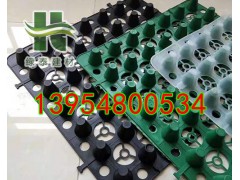 蓄排水板在车库屋顶绿化中的应用图1