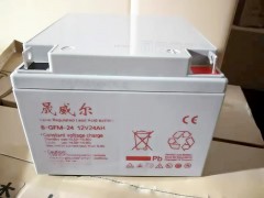 晟威尔蓄电池12V24AH消防UPS机房备用6-GFM-24图1