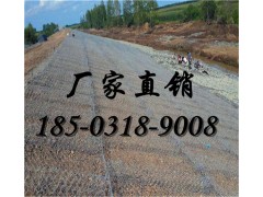 绿滨垫厂家 护坡绿滨垫生产厂家图1