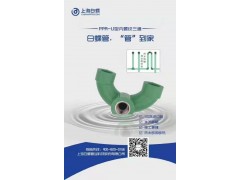 2019管道10大品牌 家装ppr水管认准国企白蝶图1