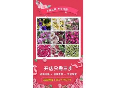 芙拉沃品牌鲜花基地鲜花超市招商加盟图1
