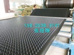 济南绿化排水板/疏水板厂家+地下车库排水板图1