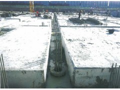 如何区分砖地膜和砖胎膜呢？各自有哪些作用呢？图1