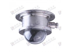 深圳容方200万网络高清防爆半球图1