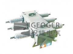 ㊣祝捷LW-12/630一二次融合SF6断路器图1