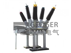 LW36-126t3150-40高压交流SF6罐式断路器祝捷图1