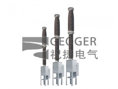 LW-252/4000户外高压交流六氟化硫断路器祝捷图1