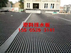 2公分排水板支持验货_市场排水板现货供应图1