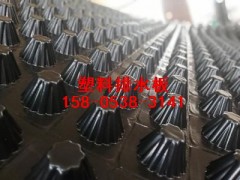 推荐浙江防水防潮塑料排水板/疏水板图1