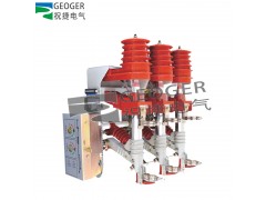 FKRN12-12/630-20 户内高压负荷开关图1