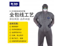C2喷漆防尘连体服养殖疾控隔离服防护服图1