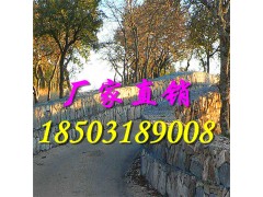 湖北格宾石笼厂家A武汉格宾石笼生产厂家图1