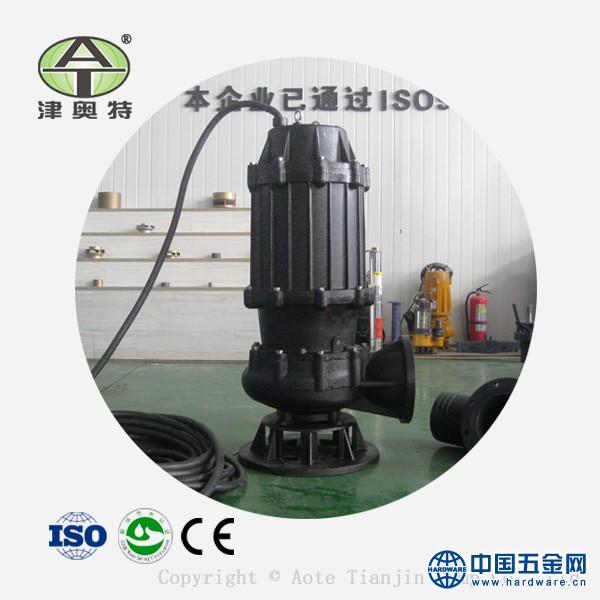 300-口径-潜污电泵