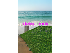 富维绿篱花草景观围挡厂家A合肥滨湖绿篱花草景观围挡规格图1