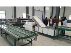 樱桃选果机厂家直供新型水冷无损樱桃分选机图1