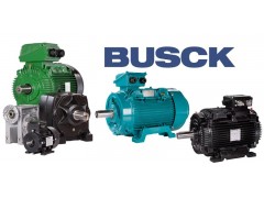 瑞典BUSCK电机图1