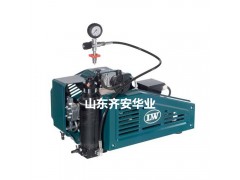 青岛供应爱安达L&W空气充气泵LW 100 EFI潜水救援用图1